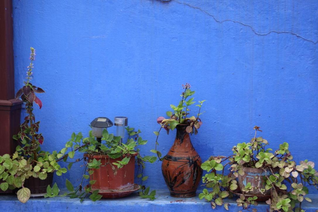 Dar El Khzana Apartment Chefchaouen Luaran gambar